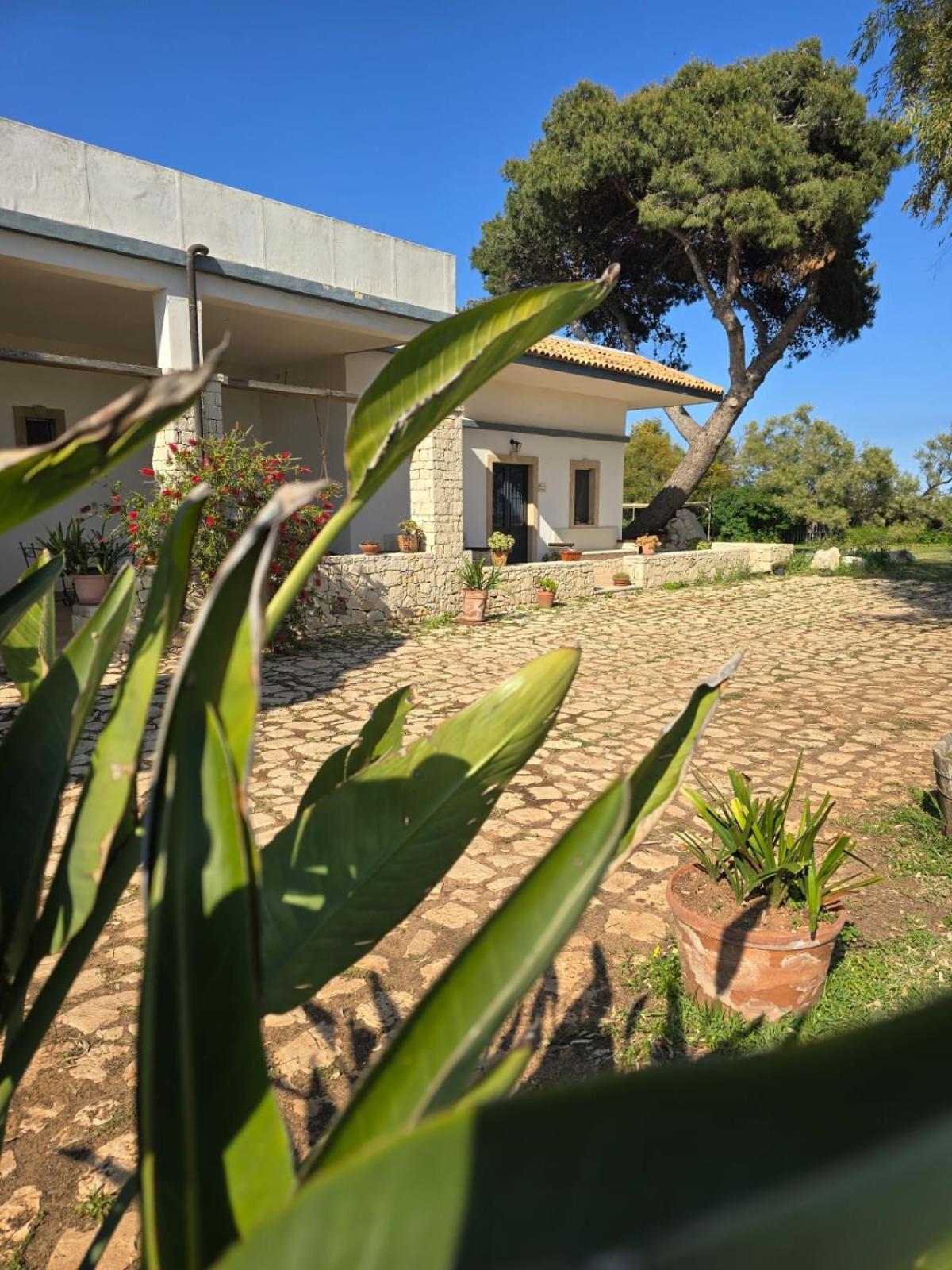 B&B Casa Cavarra Portopalo Di Capo Passero Buitenkant foto